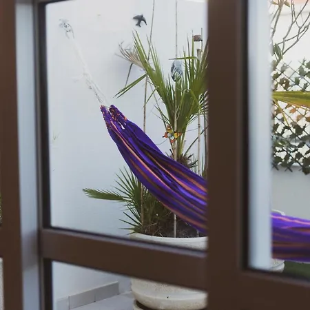 Apartamento 40 - Me And The Sea